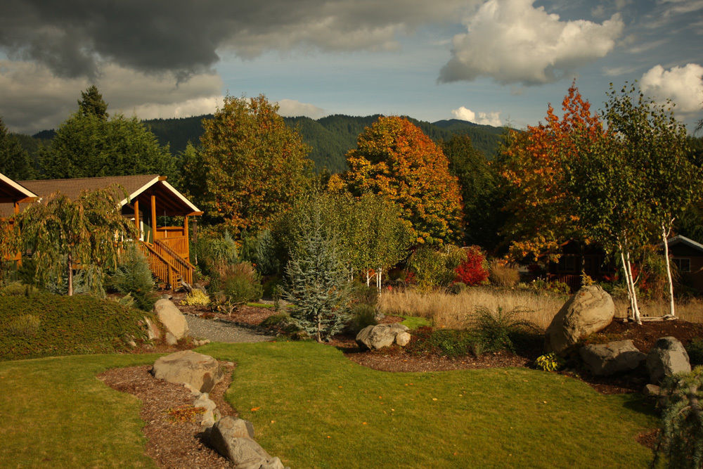 Carson Ridge Luxury Cabins Extérieur photo