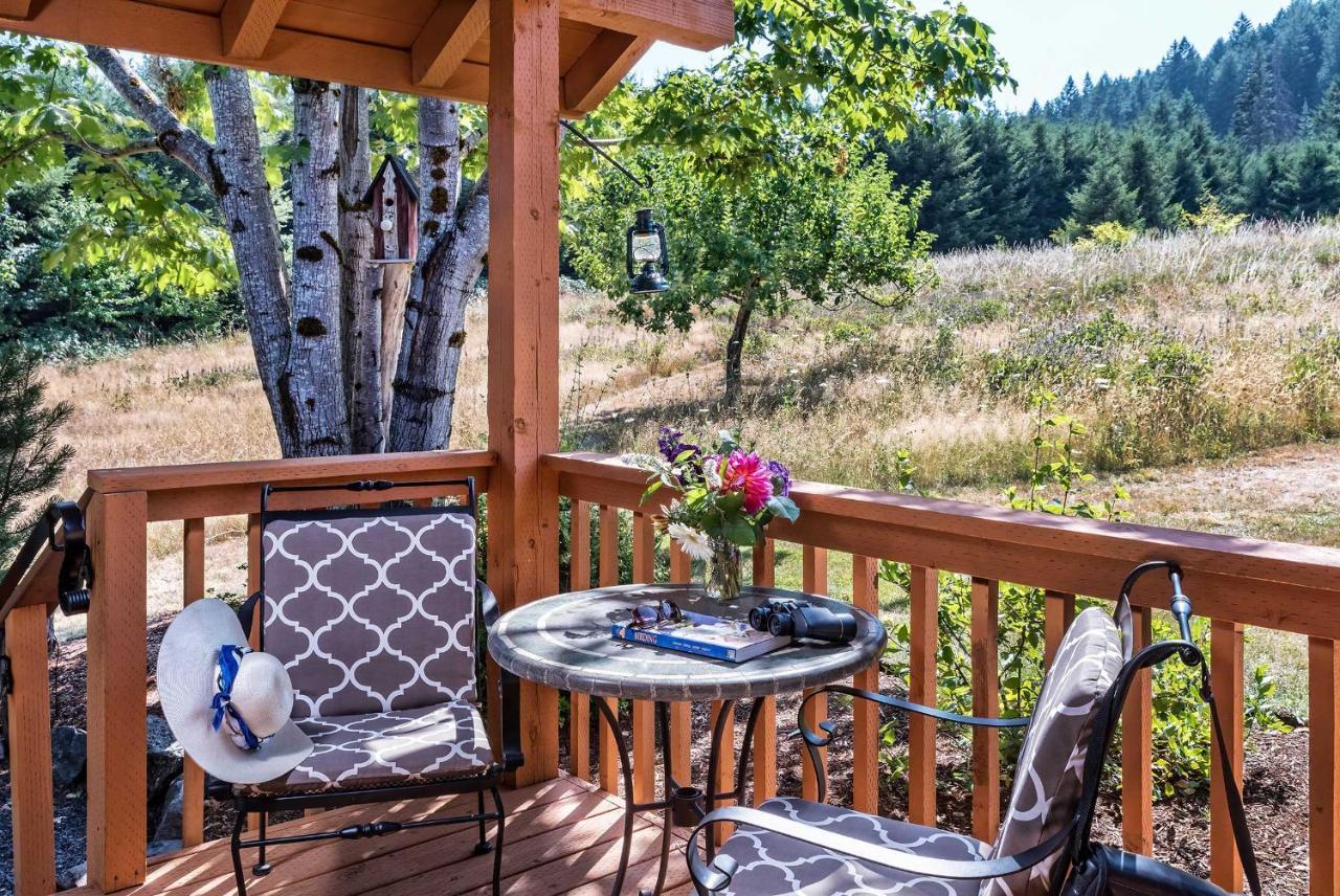 Carson Ridge Luxury Cabins Extérieur photo